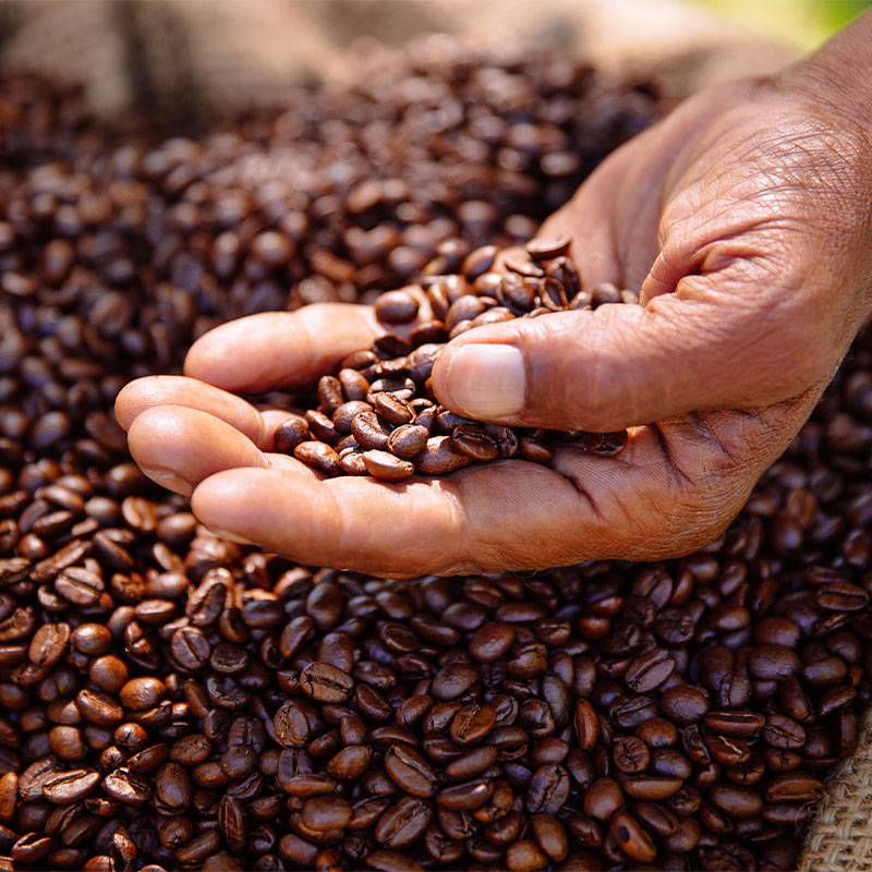 Oak Coffee – A Brew of Strength and Depth