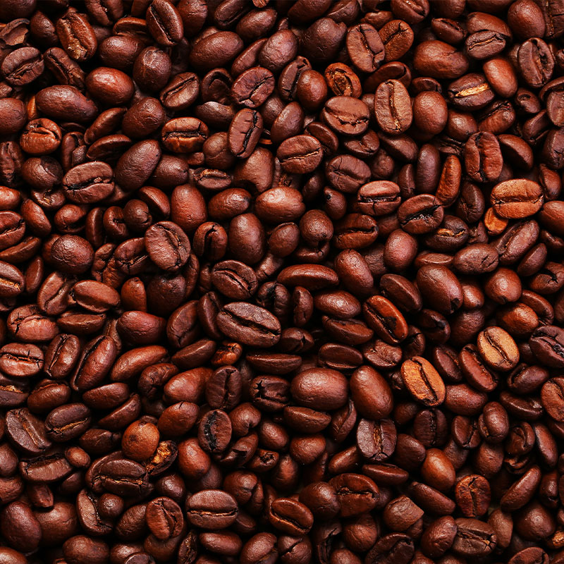 Birch Coffee – A Symphony of Bright and Delicate Flavors